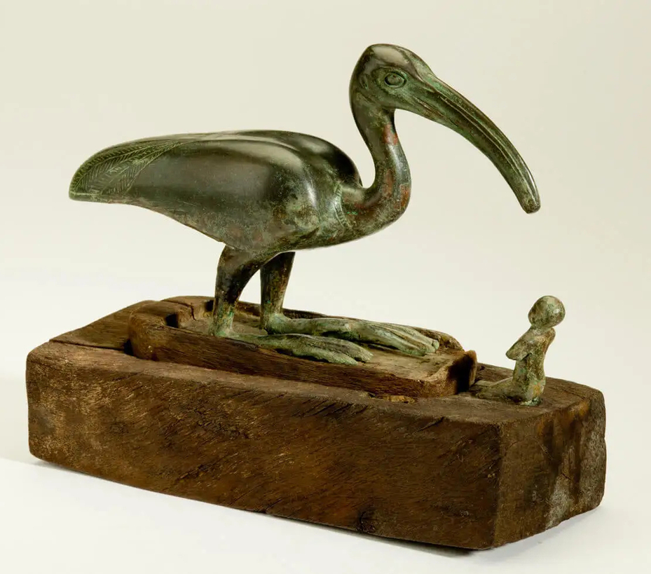 Ancient Egyptian God of the Moon Science and Knowledge Ibis Bird FormThoth Egyptian Museum